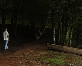 我的爱人在哪里?