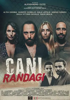 Cani randag
