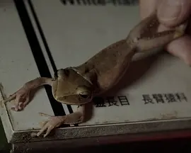 除蛙記