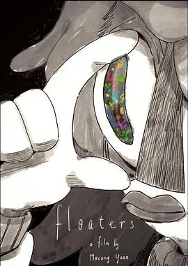 飞蚊症