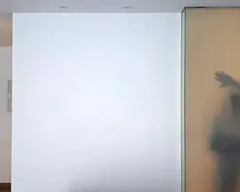 Flamenco