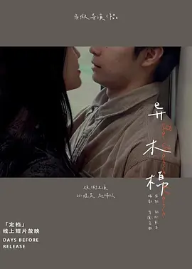 异木棉