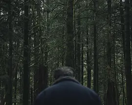 To Kill A Wolf