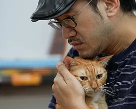 降溫告急