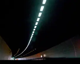 暫棲