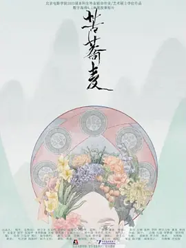 苦荞麦