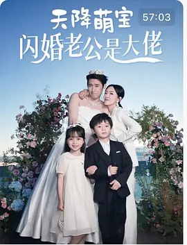 天降萌宝闪婚老公是大佬