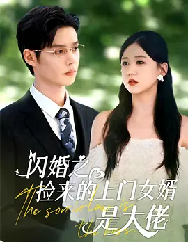 闪婚之捡来的上门女婿是大佬