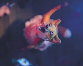 Dragfox