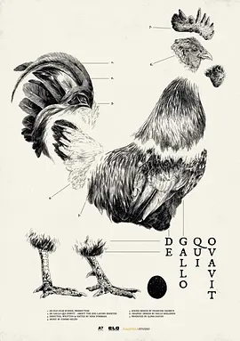 De Gallo Qui Ovavit