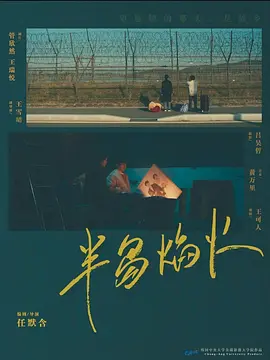半岛焰火