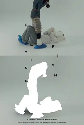 会飞的鱼