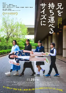 把哥哥变成可以携带的尺寸